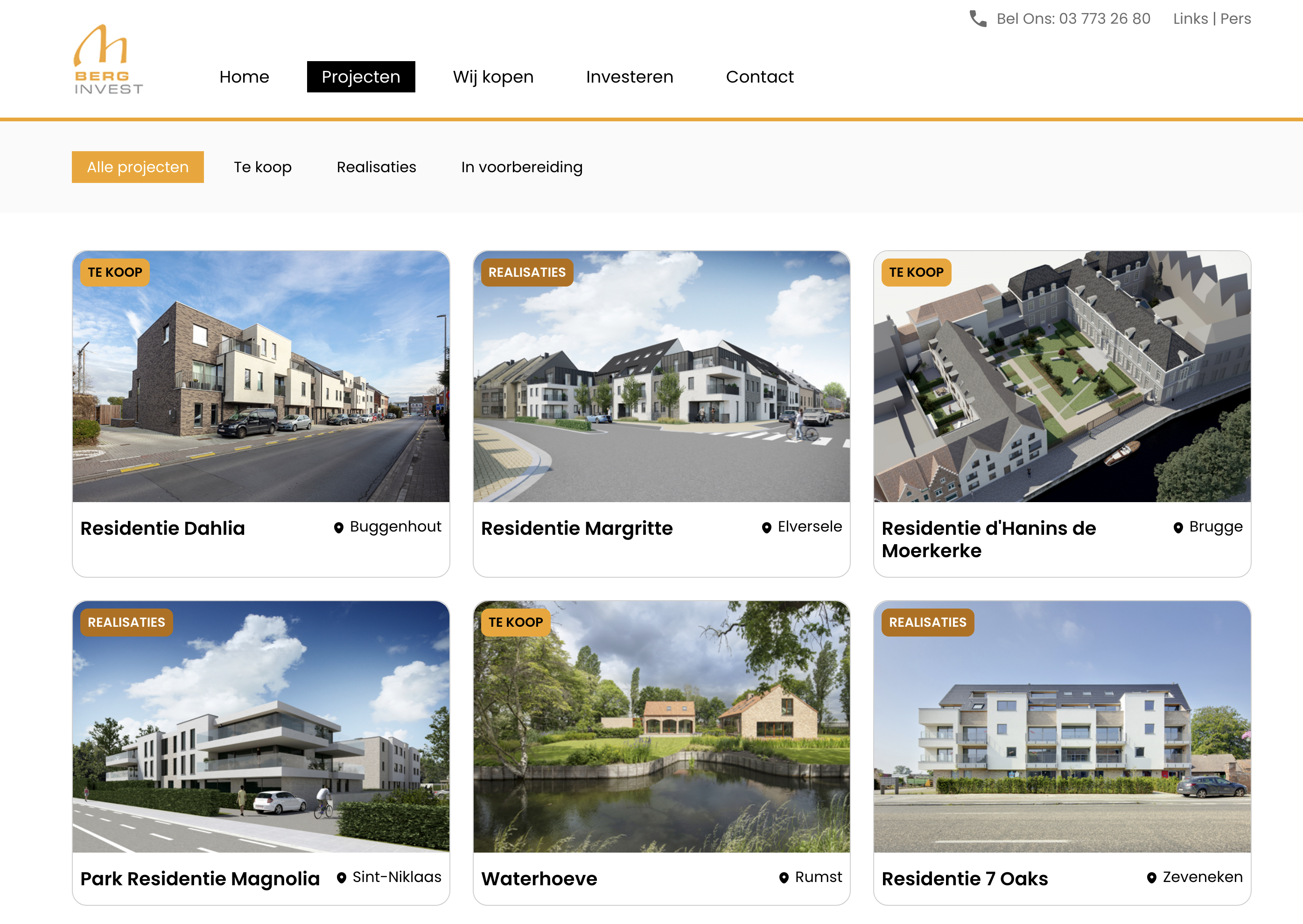 Berg-Invest project preview